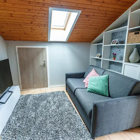 Apartamento Entspannung Mitten Im Schwarzwald Mit Infrarotsauna Und Massagesessel