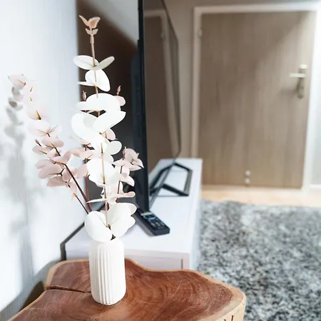 Entspannung Mitten Im Schwarzwald Mit Infrarotsauna Und Massagesessel Schönwalde