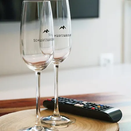 Apartamento Entspannung Mitten Im Schwarzwald Mit Infrarotsauna Und Massagesessel *