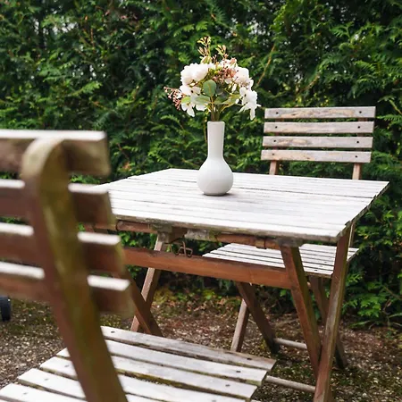 Entspannung Mitten Im Schwarzwald Mit Infrarotsauna Und Massagesessel