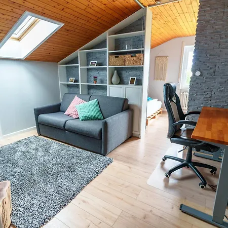 Apartamento Entspannung Mitten Im Schwarzwald Mit Infrarotsauna Und Massagesessel *