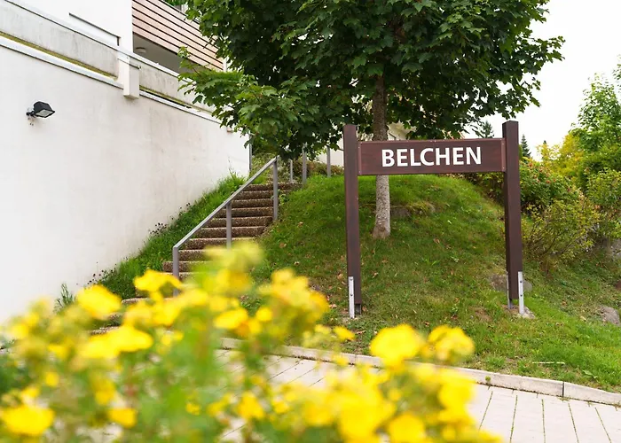 Entspannung Mitten Im Schwarzwald Mit Infrarotsauna Und Massagesessel Apartment